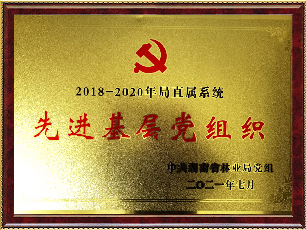 先进基层党组织2021年