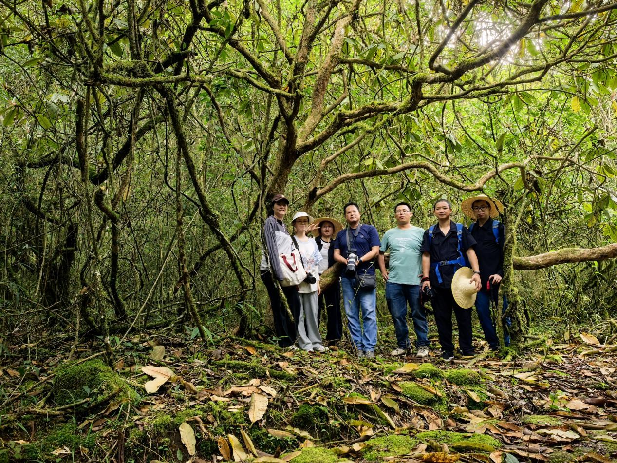 园生态所科研人员赴炎陵调查珍稀濒危杜鹃种质资源