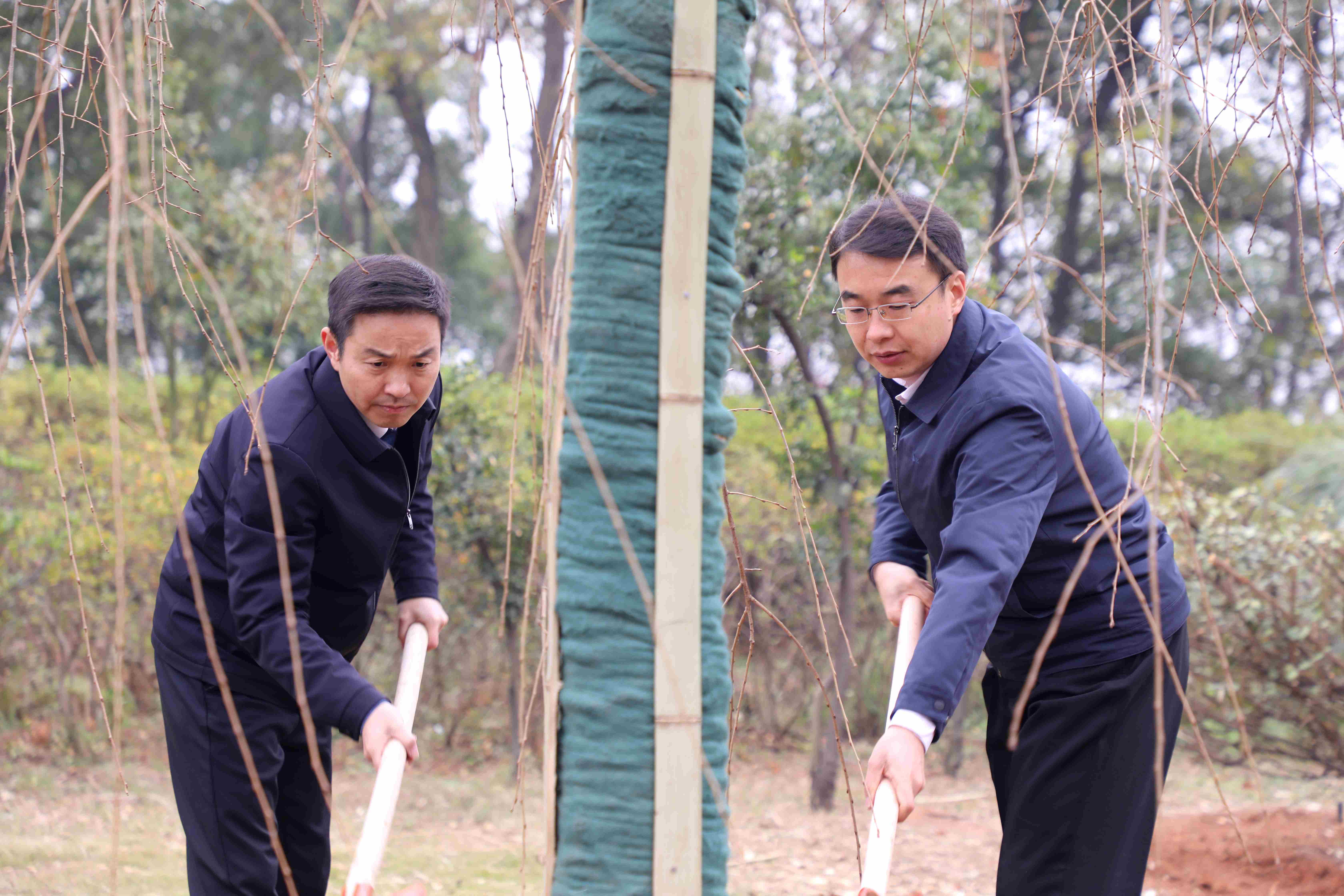 植绿樱花湖畔 传承四十初心——湖南省植物园开展义务植树活动