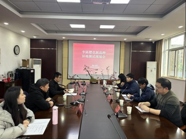 省植物园长沙测试站开启2026年度樱花新品种测试