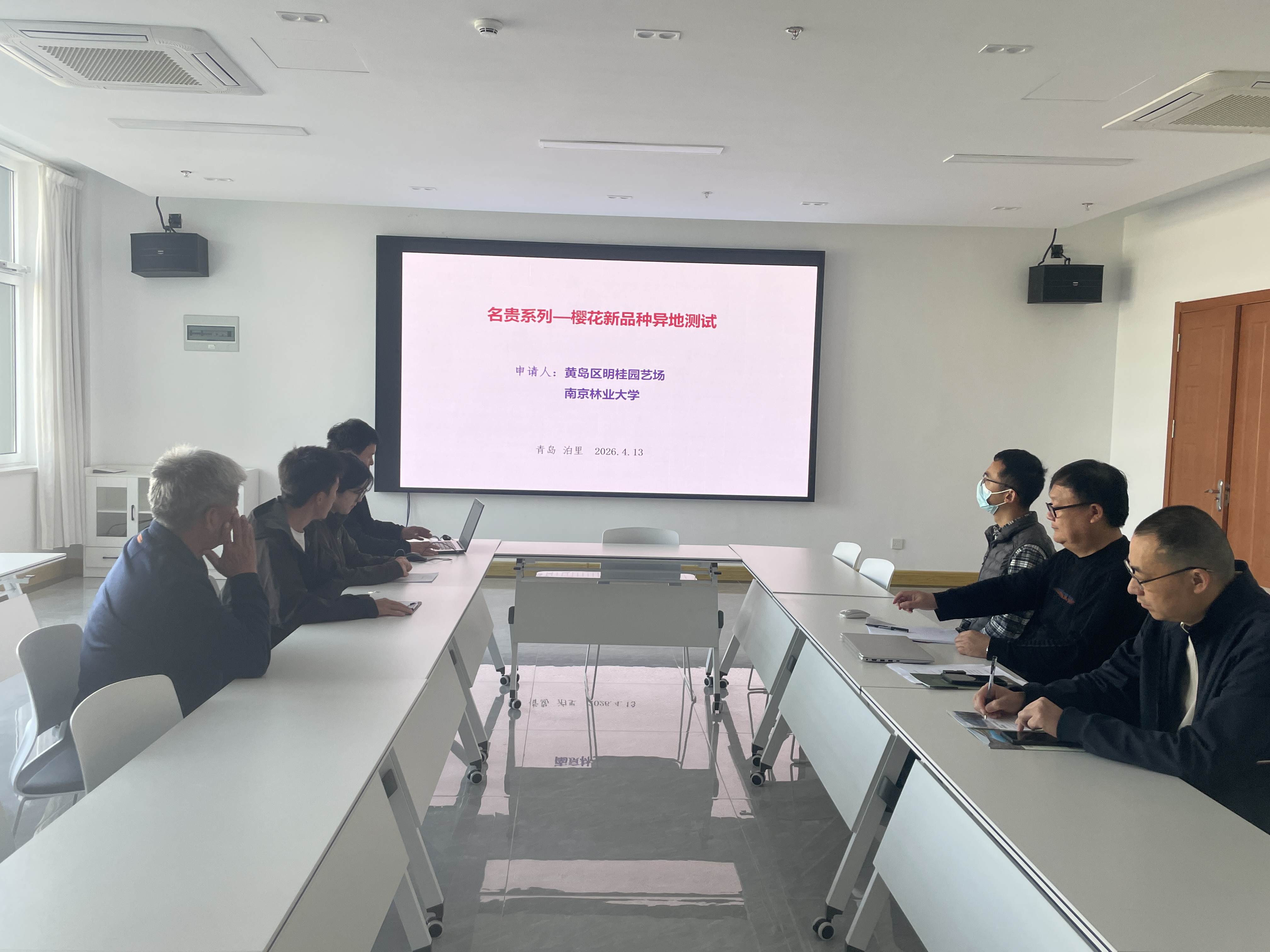 湖南省植物园赴青岛开展樱花异地测试 强化知识产权保护